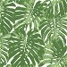 Seabrook Designs Jamaica Basil Green &amp; White Wallpaper thumbnail image 1 of 2