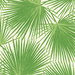 Seabrook Designs Aruba Fern Green & White Wallpaper
