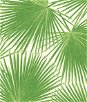Seabrook Designs Aruba Fern Green & White Wallpaper