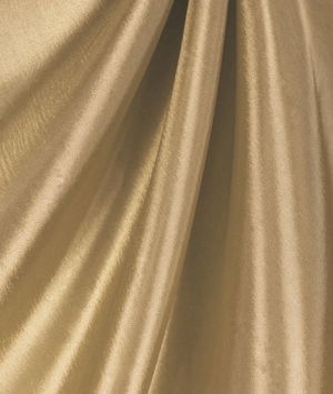 Champagne Taffeta Fabric