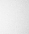 Roth & Tompkins Textiles Tavares Matelasse White Fabric