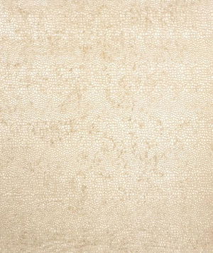 JF Fabrics Territory 11 Fabric