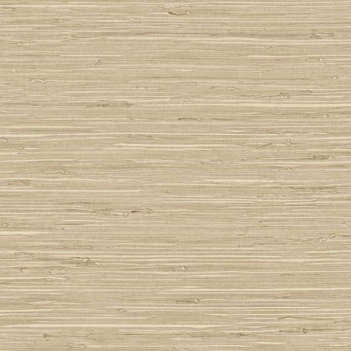 DuPont™ Tedlar® Marion Faux Arrowroot Chestnut Wallpaper image 1 of 3