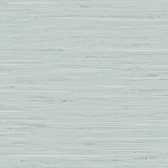 DuPont™ Tedlar® Marion Faux Arrowroot Pale Sky Wallpaper image 1 of 2