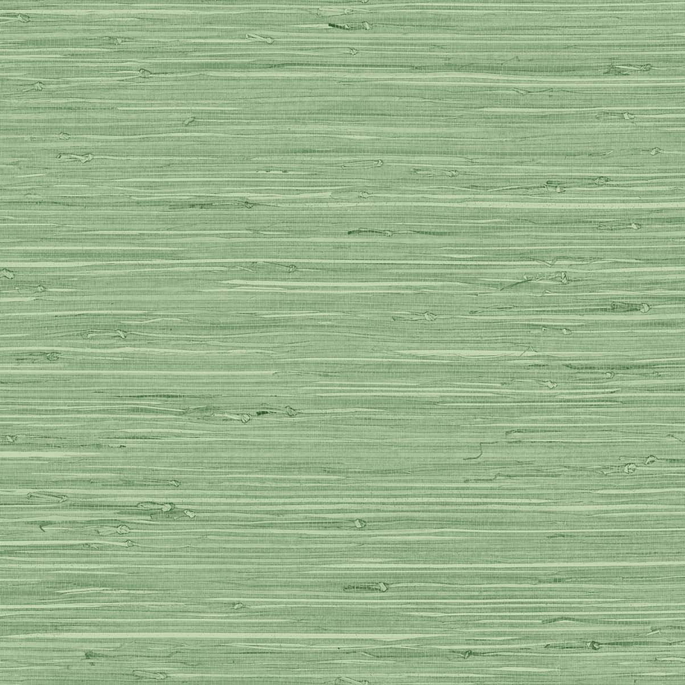 DuPont™ Tedlar® Marion Faux Arrowroot Spring Forest Wallpaper image 1 of 2