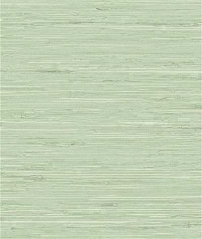 DuPont™ Tedlar® Marion Faux Arrowroot Frosted Grass Wallpaper