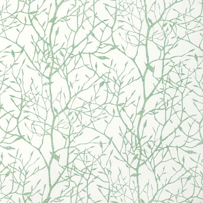 Kravet Timber Top Grass Fabric