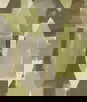 ABBEYSHEA Toil 202 Lichen Fabric