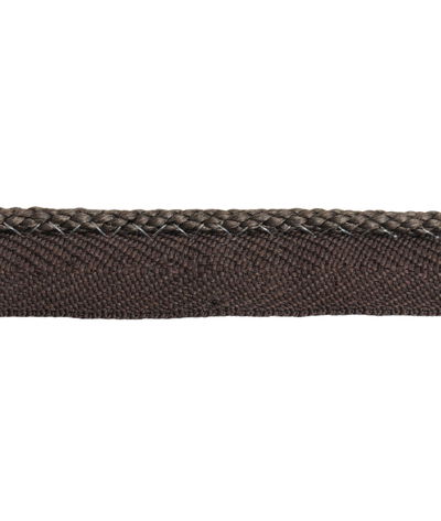 Lee Jofa Pencil Line Java Lip Cord Trim