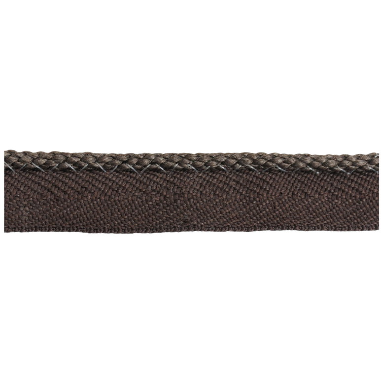 Lee Jofa Pencil Line Java Lip Cord Trim