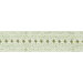 Lee Jofa Paige Tape Leaf Band Trim