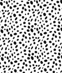 Premier Prints Togo Black Fabric