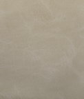 Kravet Toni Dune Fabric