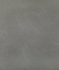 Kravet Toni Spur Fabric
