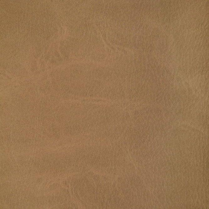 Kravet Toni Moccasin Fabric