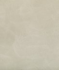 Kravet Toni Tusk Fabric