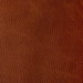 Kravet Toni Mesa Fabric