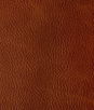Kravet Toni Mesa Fabric