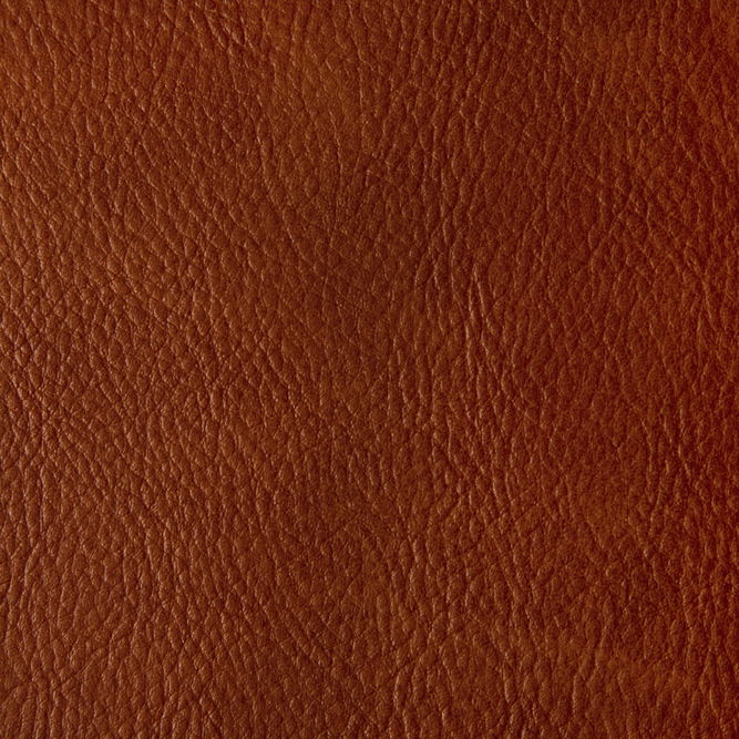 Kravet Toni Mesa Fabric