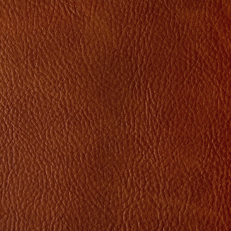 Kravet Toni Mesa Fabric