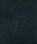 Kravet Toni Ink Fabric