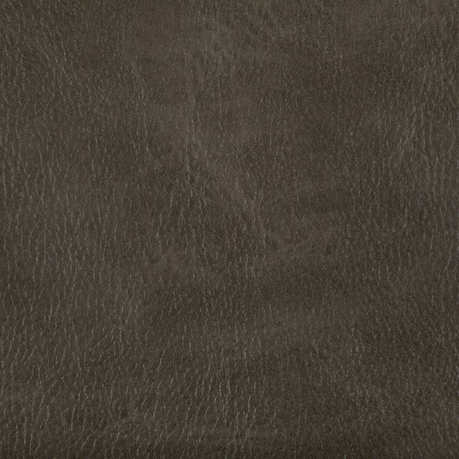 Kravet Toni Rustler Fabric