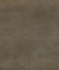 Kravet Toni Field Fabric