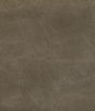 Kravet Toni Field Fabric
