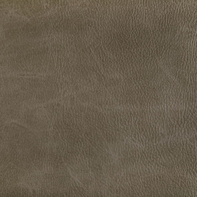 Kravet Toni Field Fabric