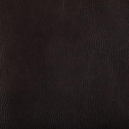 Kravet Toni Mahogany Fabric