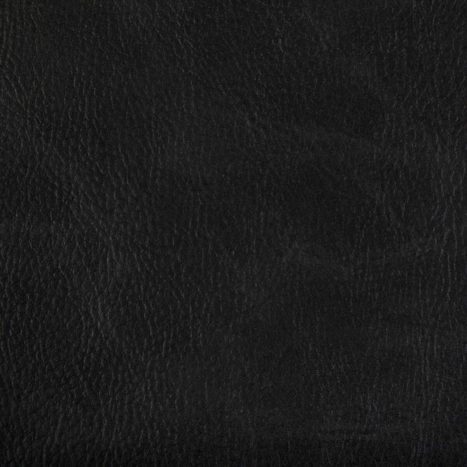Kravet Toni Stallion Fabric