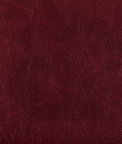 Kravet Toni Sangria Fabric