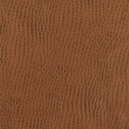 Nassimi Symphony Phoenix Outback Vinyl