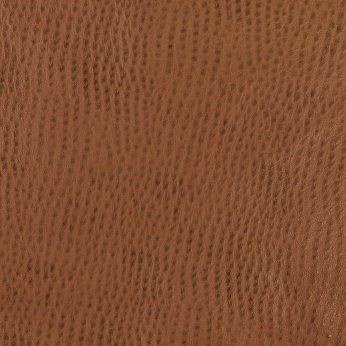 Nassimi Symphony Phoenix Outback Vinyl image 1 of 2