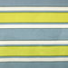 Robert Allen @ Home Garden Stripe FR Seamist Fabric