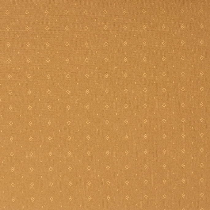 RK Classics Brazil FR Pecan Fabric image 2 of 2