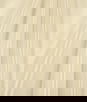 RK Classics 118" Leona FR Sheer Sunkissed Fabric