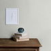 Seabrook Designs Silk Seedling Wallpaper thumbnail image 2 of 2