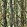 True Timber XD3 300 Denier Polyester Fall Camouflage