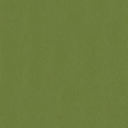 ABBEYSHEA Miami 205 Sprig Fabric