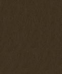 ABBEYSHEA Miami 802 Tan Fabric