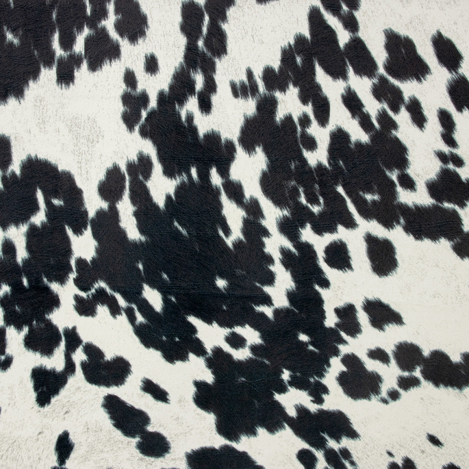 Morgan Fabrics Udder Madness Cow Micro Velvet Domino Fabric image 1 of 2
