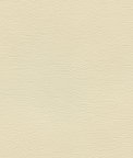 Ultrafabrics® Ultraleather® Almond Fabric