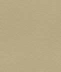 Ultrafabrics® Ultraleather® Buff Fabric