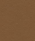 Ultrafabrics® Ultraleather® Curry Fabric