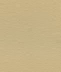 Ultrafabrics® Ultraleather® Sand Fabric