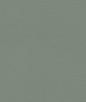 Ultrafabrics® Ultraleather® Eucalyptus Fabric
