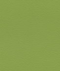 Ultrafabrics® Ultraleather® Parrot Fabric