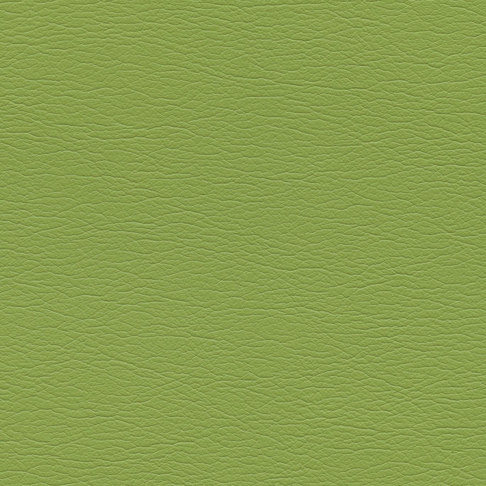 Ultrafabrics® Ultraleather® Parrot Fabric image 1 of 1