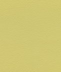 Ultrafabrics® Ultraleather® Citrus Fabric
